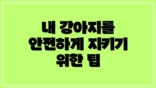 내 강아지를 안전하게 지키기 위한 팁