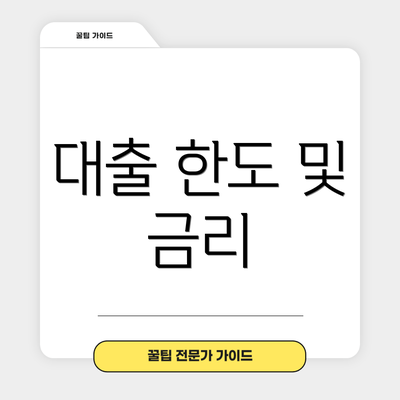 대출 한도 및 금리