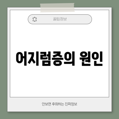 어지럼증의 원인