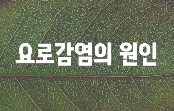 요로감염의 원인