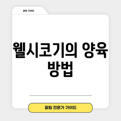 웰시코기의 양육 방법