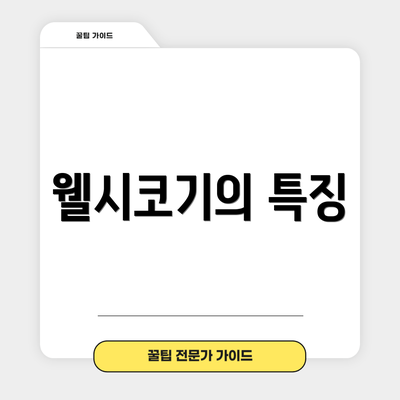 웰시코기의 특징