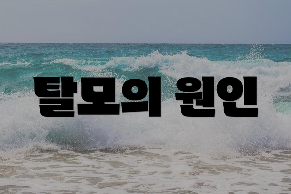 탈모의 원인