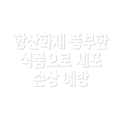 항산화제 풍부한 식품으로 세포 손상 예방