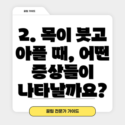 2. 목이 붓고 아플 때, 어떤 증상들이 나타날까요?