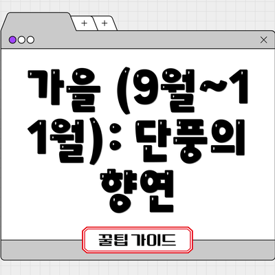 가을 (9월~11월): 단풍의 향연