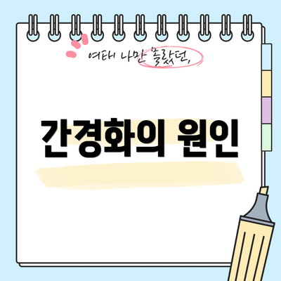 간경화의 원인