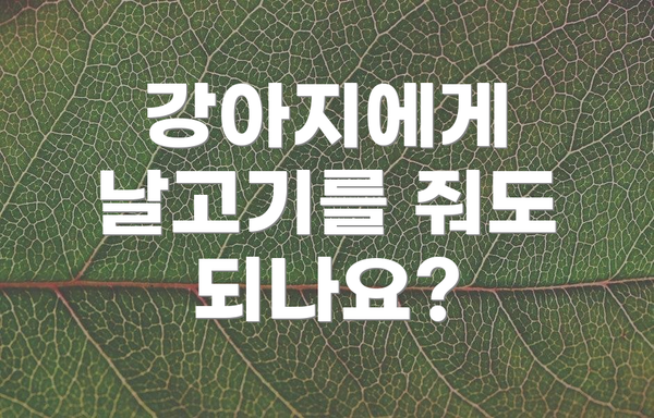 강아지에게 날고기를 줘도 되나요?