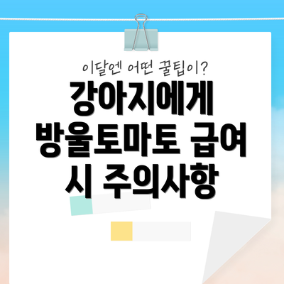 강아지에게 방울토마토 급여 시 주의사항