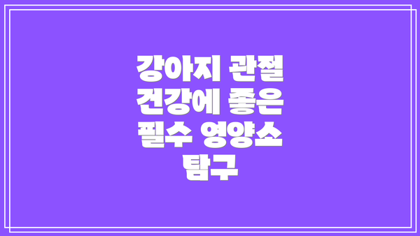 강아지 관절 건강에 좋은 필수 영양소 탐구