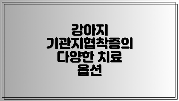 강아지 기관지협착증의 다양한 치료 옵션