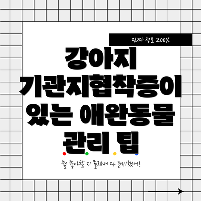 강아지 기관지협착증이 있는 애완동물 관리 팁