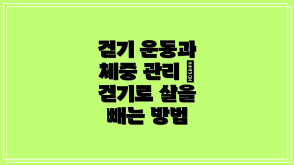 걷기 운동과 체중 관리 – 걷기로 살을 빼는 방법