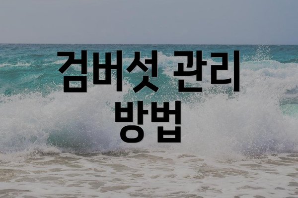 검버섯 관리 방법