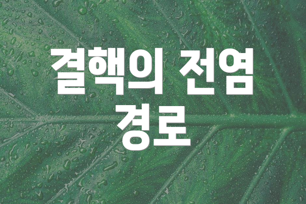 결핵의 전염 경로