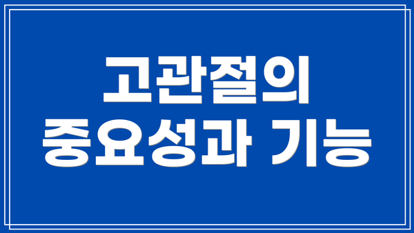 고관절의 중요성과 기능