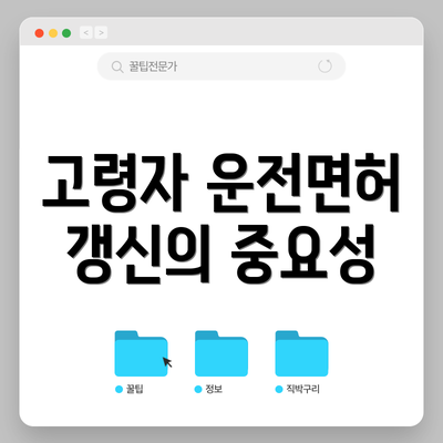 고령자 운전면허 갱신의 중요성