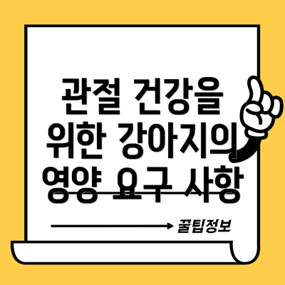 관절 건강을 위한 강아지의 영양 요구 사항