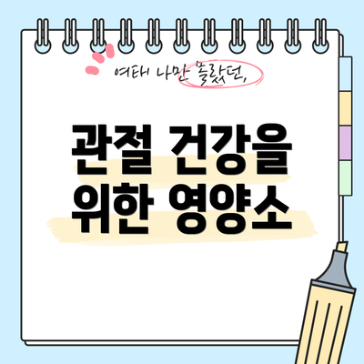 관절 건강을 위한 영양소