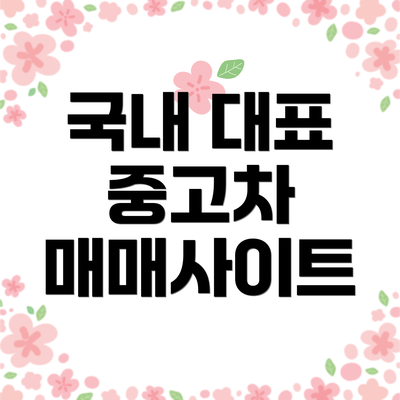 국내 대표 중고차 매매사이트
