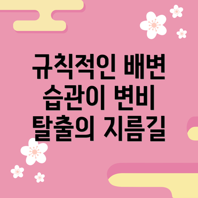 규칙적인 배변 습관이 변비 탈출의 지름길