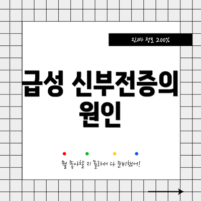 급성 신부전증의 원인