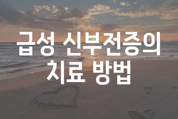 급성 신부전증의 치료 방법