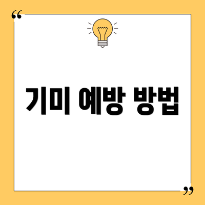 기미 예방 방법