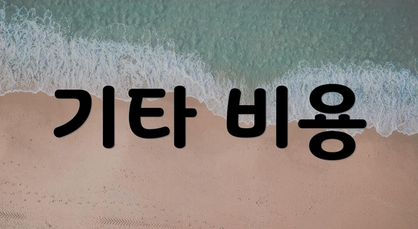 기타 비용