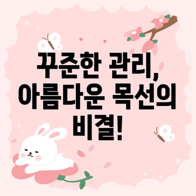 꾸준한 관리, 아름다운 목선의 비결!