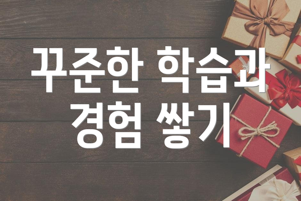 꾸준한 학습과 경험 쌓기