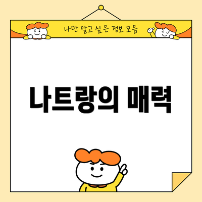 나트랑의 매력