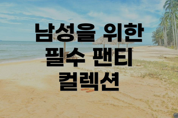 남성을 위한 필수 팬티 컬렉션