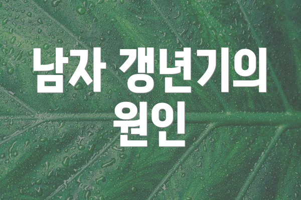 남자 갱년기의 원인