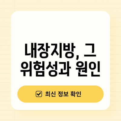내장지방, 그 위험성과 원인