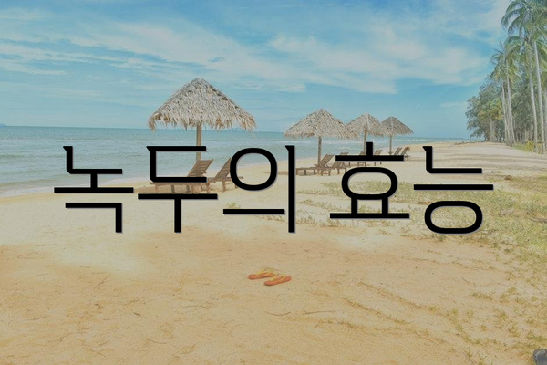 녹두의 효능