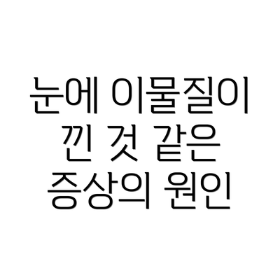 눈에 이물질이 낀 것 같은 증상의 원인
