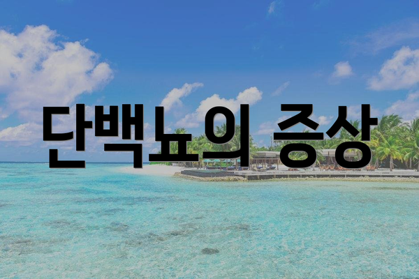 단백뇨의 증상