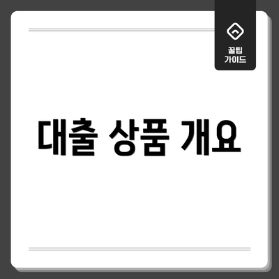 대출 상품 개요