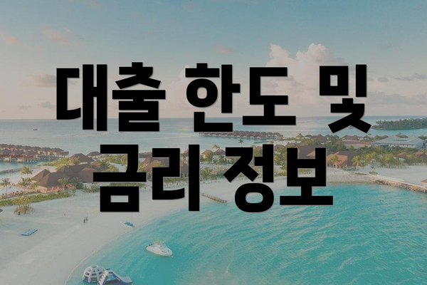 대출 한도 및 금리 정보