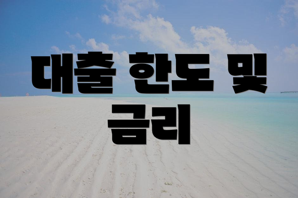 대출 한도 및 금리