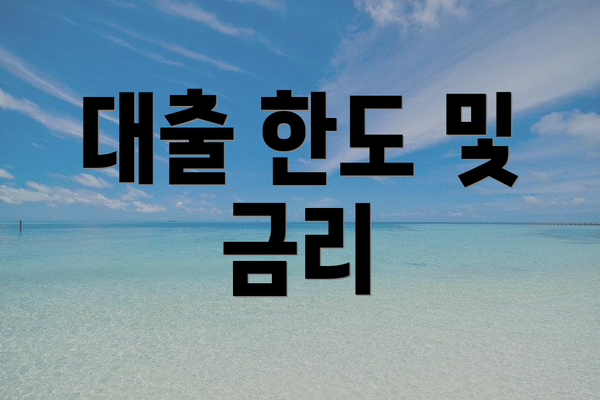 대출 한도 및 금리