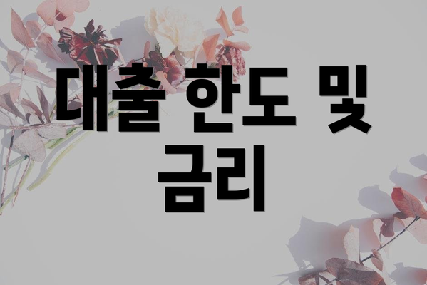 대출 한도 및 금리