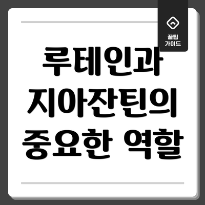루테인과 지아잔틴의 중요한 역할