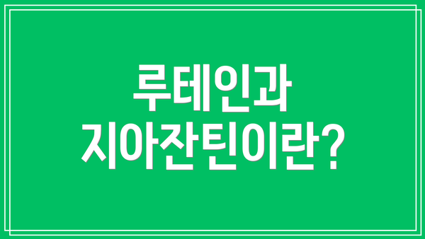 루테인과 지아잔틴이란?