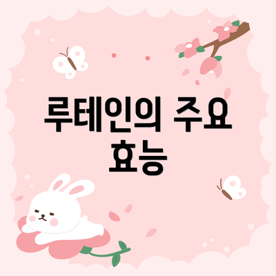 루테인의 주요 효능