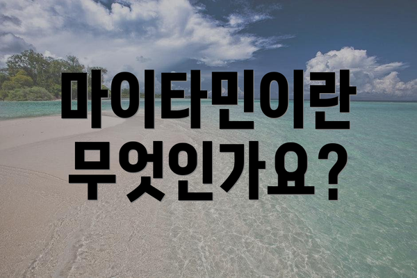 마이타민이란 무엇인가요?