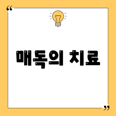 매독의 치료