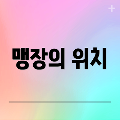 맹장의 위치