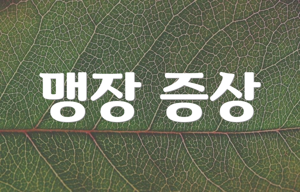 맹장 증상